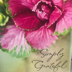 Thank you all 💓I’m simply grateful😍